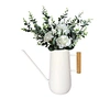 indoor watering can