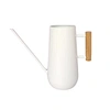 galvanized metal watering can